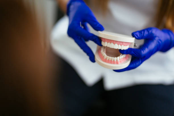 Best Dental Exams and Cleanings  in New Lno, LA